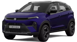 The New Nexon